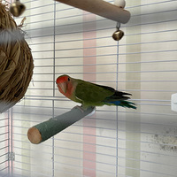 ĵģƺеզ°