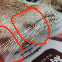 zfbﱣķ