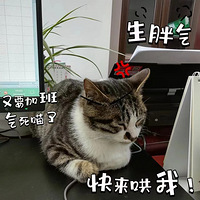 èڼվ˱ߣ3bjڻ