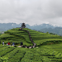 ��һ�����سǺ�������С�μ�¼