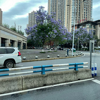 Լ麣3
