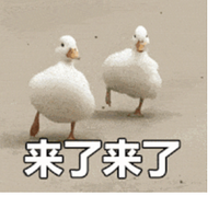 Ƭ¯ÿһó¸߶ȣ