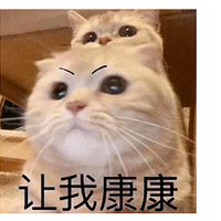 ΨǰѣҲϴ