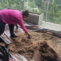 ΪʡǮӣѻضᴩˣ»5000ֲ̨