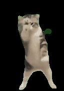 528ֵ һϰ5.8Ƴʪ80*323.9