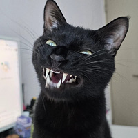 eeǣҵݺÿèҲ