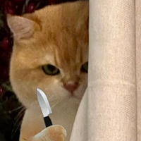 ˿ҹ3۾Ϊҳž֤ݣˣ