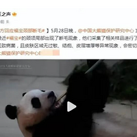 ��ý��ҥ������Ű���������ǹ黹��è����������������ַ�