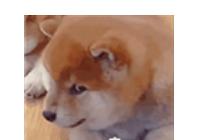 GQʢ̺»ûŮǧ˰̬
