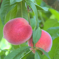 ����������������Щ�ط����ԡ��ҡ���һ�ģ�