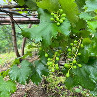 ��¼ԭ��̬�������