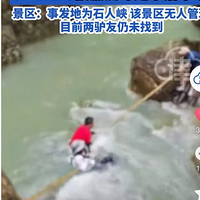 �㽭2�˱��������ߣ������ع⣺��ñ����2����������ʸ֮�ģ�