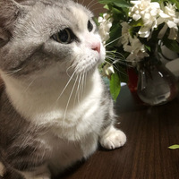 Сèӻ˭