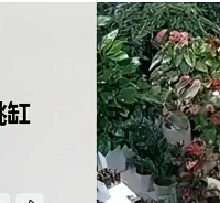 ����һ������������ľ޹������������ˤ�����෽ԭ���������飡