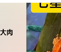 100��Ԫ������������ճ�ʲô�����ʹ�ͳ�ҳ������Լ۱���Σ�