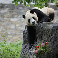 12磬ڴѾõĴèʽ빫ڼ档