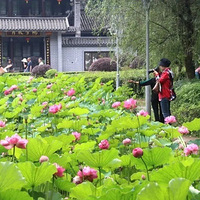 ԰��԰ӭ���ɻ�ʢ�����������ڽ��������������Ѯ