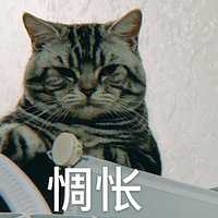 �ټ�������һ֪���̳������յ꣡����ֱ�������᲻�á���