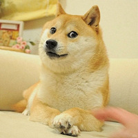 Dogeԭ͹Kabosu ҲҪ
