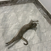 Ǹèè յÿµѶ٣˵һ500