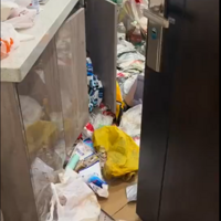 �������è�����ľͺ���