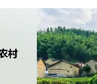 ���ա����ա������ȵع���ũ���˳�լ���ؽ��ǹ�������̨��������