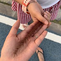 ĩ