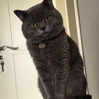 аҡ