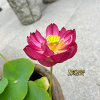 ɻˣڳ׼裬ܲ