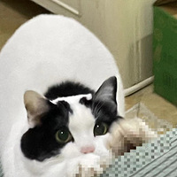 󰮳ʿѣţèһֻ