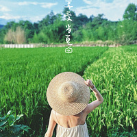 Ŀ廨ѽ