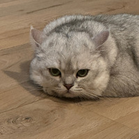 ˣǲǾվˣ
