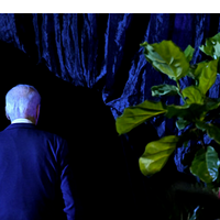 17곤Ůȫ죡ӵݽүүʺƨ