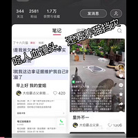 δþ޶ûм໤˵ľӦɹҴΪ