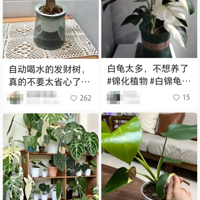 28ƬҶӣСϰ裺ź򻹵ۿ졭