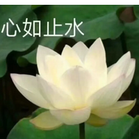 ëװȦ00صթƭʽƬ̫Ц