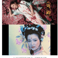 ˵ǵһŮΪʲôû˷ԣ