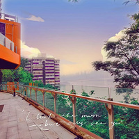 ֮ϴ