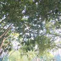 ʮ𻨲㣬ɽǹΪΡٵˡ