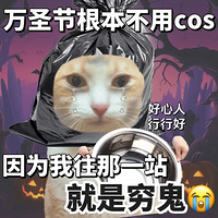 ʥڳcosͣЩʣֻ벻ûcos˵