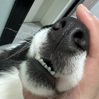 ˭С