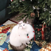 쵥򣬾ȻбŮѰͬƵȤ˶