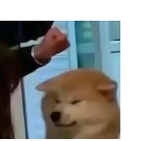 ȫЦ躣ƫƫЦ...