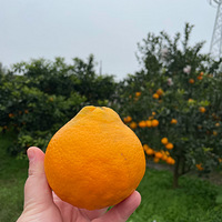 Ҫٴʺϡش塱ȥժ