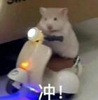 ȫҳεıسУƽ̶ʳҹԲ