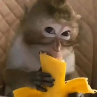 һֵˣ칥ϰˣ鼷