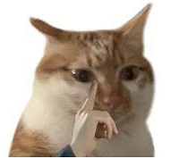 ÷ܹ߸˾Ȼ