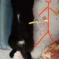 һλҪӵĶŮ