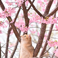 ӣˣ㰮һͻ