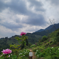 潭ĵ